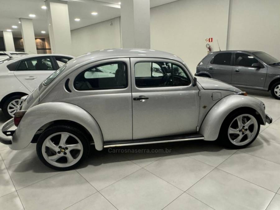 VOLKSWAGEN - FUSCA - 1996/1996 - Prata - Sob Consulta